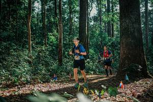 BIB: 
                            <button type="button" onclick="openModal(26078204)" class="btn btn-primary btn-sm float-right btn-popup" data-toggle="modal" data-target=".modal-high-quality">
                        <i class="fas fa-shopping-cart"></i> Add to Cart
                    </button>
                                            <button type="button" onclick="isThisMe(26078204, true)" class="btn btn-success btn-sm float-right btn-popup btn-isme hidden" data-toggle="tooltip" data-placement="bottom" title="นี่คือรูปของคุณใช่ไหม คลิกที่นี่เพื่อเอาเข้าอัลบั้ม">
                        <i class="fas fa-plus"></i> Add to album
                    </button>
                    <button type="button" onclick="isThisMe(26078204, false)" class="btn btn-warning btn-sm float-right btn-popup btn-isnotme hidden">
                        <i class="fas fa-ban"></i> Remove from album
                    </button>